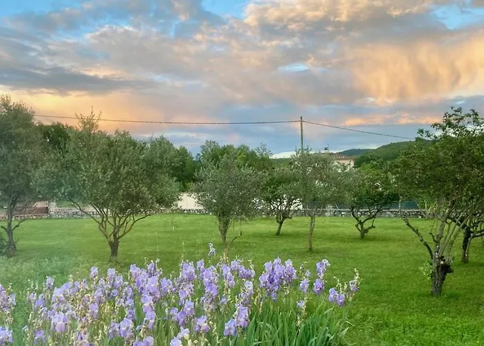 La Maison Du Carrier *