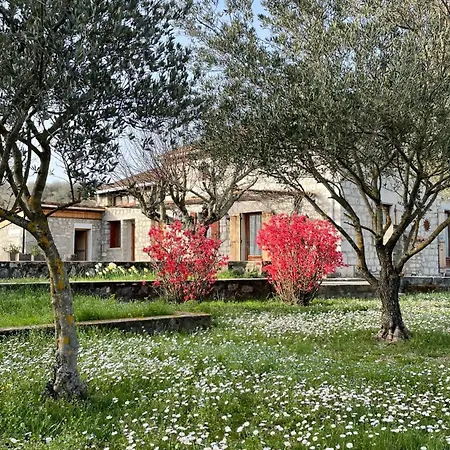 La Maison Du Carrier *